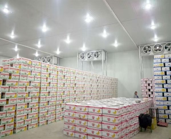 微信图片_20240828194205.jpg