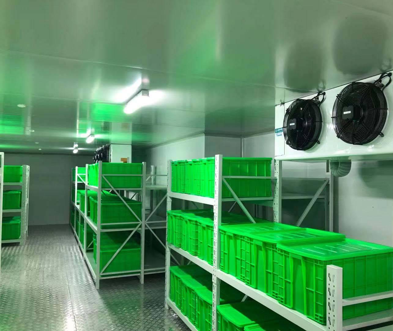 冷库图片2.jpeg